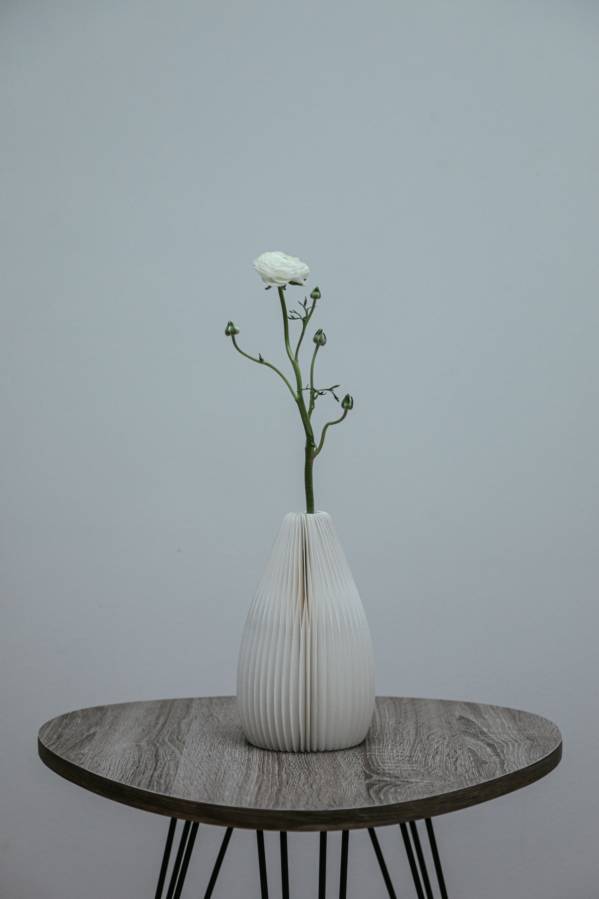 Original photograph of a fluted white vase with a flower